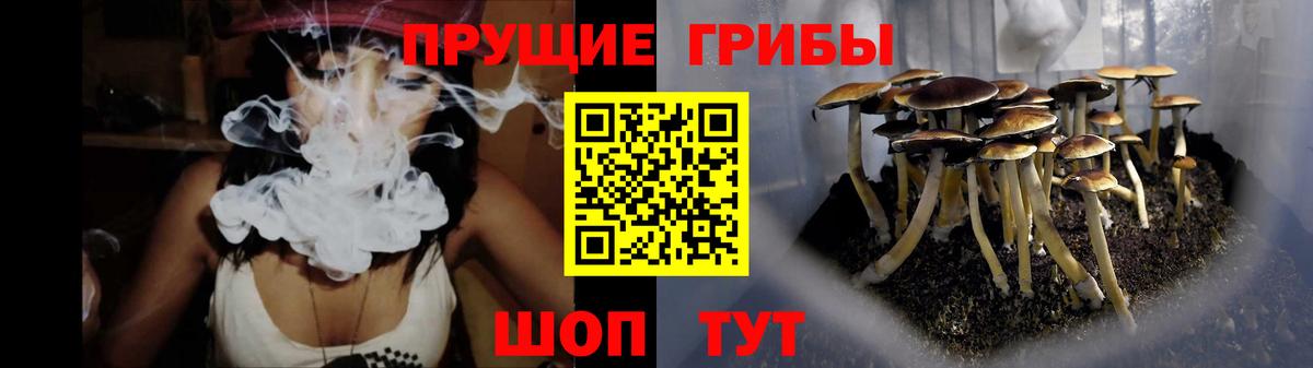 Галлюциногенные грибы GOLDEN TEACHER  Псилоцибиновые грибы мицелий  Вход с VPN  Сызрань 